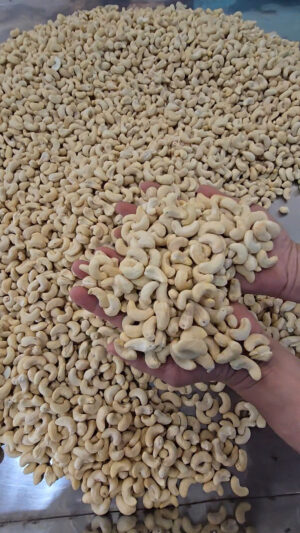 Cashews W320
