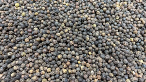 Pepper