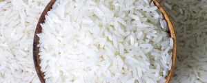 Rice