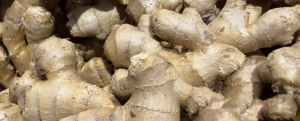 Ginger