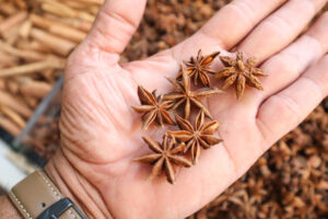 Star Anise (Premium Grade)