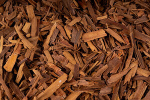 Broken & Pressed Cassia
