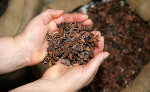 Star Anise (Standard Grade)