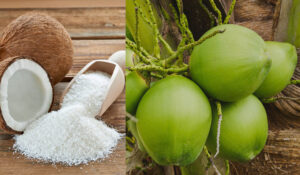 Coconut / Desiccated Coconut