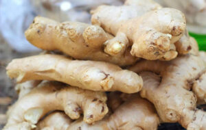 Fresh Ginger (Whole Rhizomes)