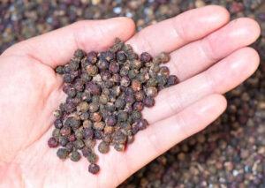 BLACK PEPPER 600G/L ASTA