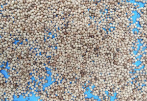WHITE PEPPER DOUBLE WASH 630 G/L