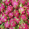 Dragon Fruit (White Flesh/Red Flesh)