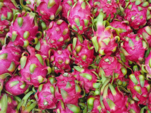 Dragon Fruit (White Flesh/Red Flesh)