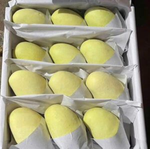 Mangoes